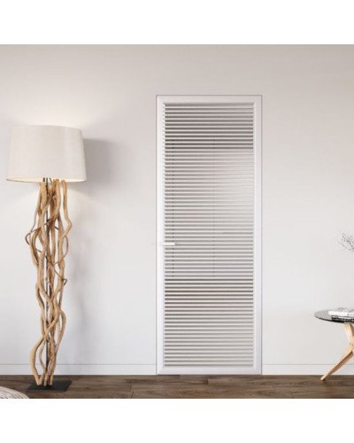 Двери скрытого монтажа Dooris DG10