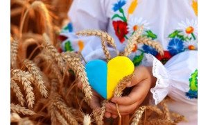 График работы салонов в День Конституции