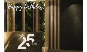 НАМ 25 лет! Скидка 25% на полотна и перегородки Astori, Dooris, VPorte