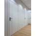 Межкомнатные двери Dooris FR06