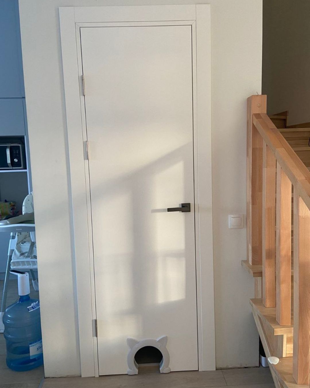 cat1